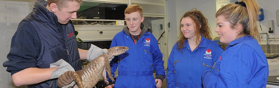 students looking at a lizard